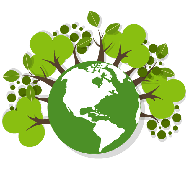 Environmental Consciousness: